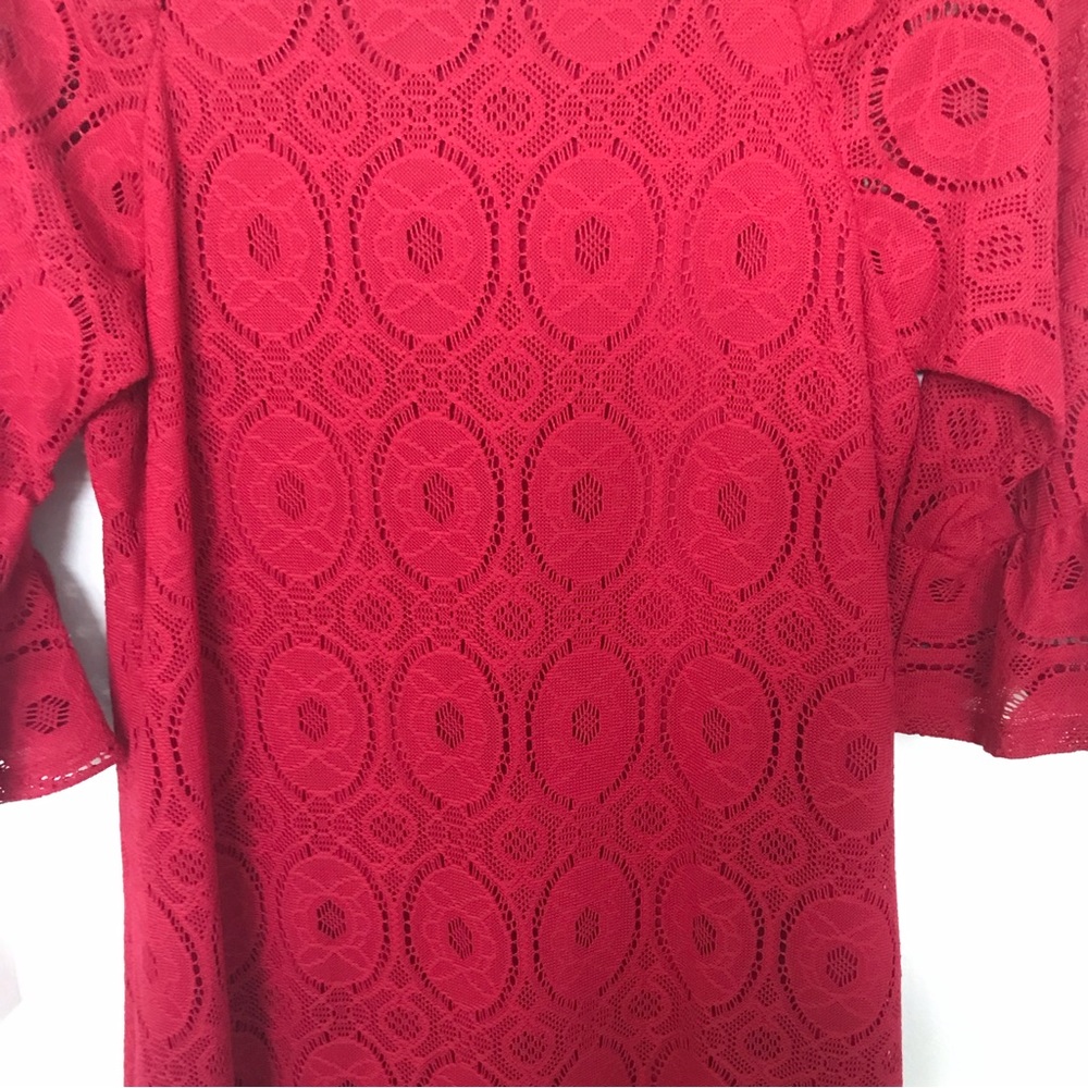 Rabbit Rabbit Rabbit Spice Lace Sheath Dress - Picture 7 of 10